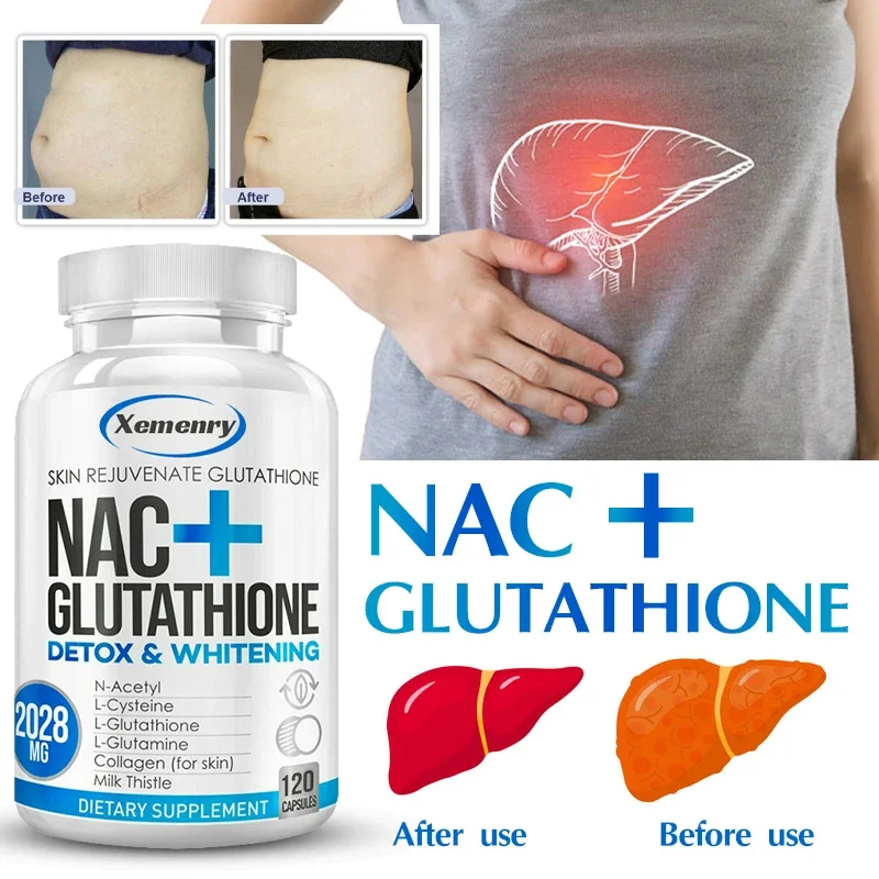 Milk Thistle Silymarin - دعم الكلى والكبد مع مستخلص شوك